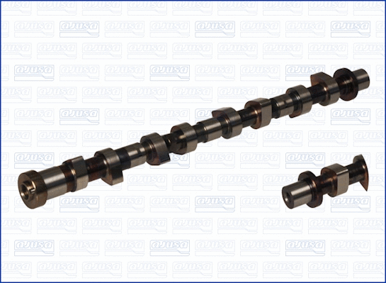 Camshaft (WG1456530)