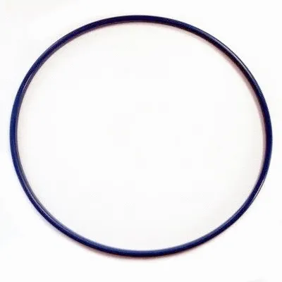 Seal, fuel tank cap (WG2263618)