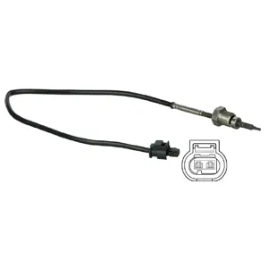 Sensor, exhaust gas temperature (WG1774463)