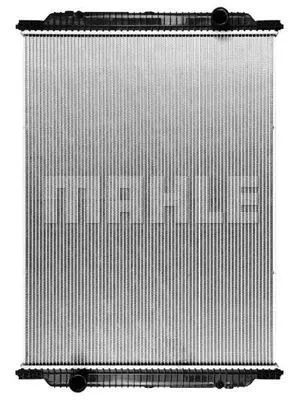 Radiator, engine cooling (WG2183947)