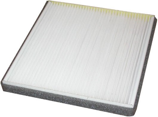 Filter, cabin air (WG1747013)