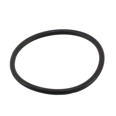 Seal, thermostat (WG2193970)