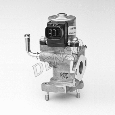 EGR Valve (WG1028871)