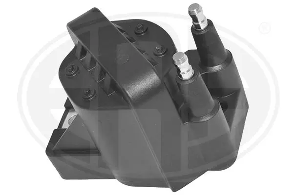 Ignition Coil (WG2017419)