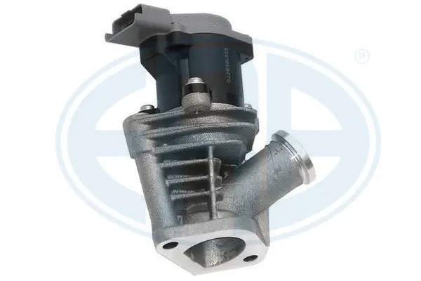 EGR Valve (WG1494458)