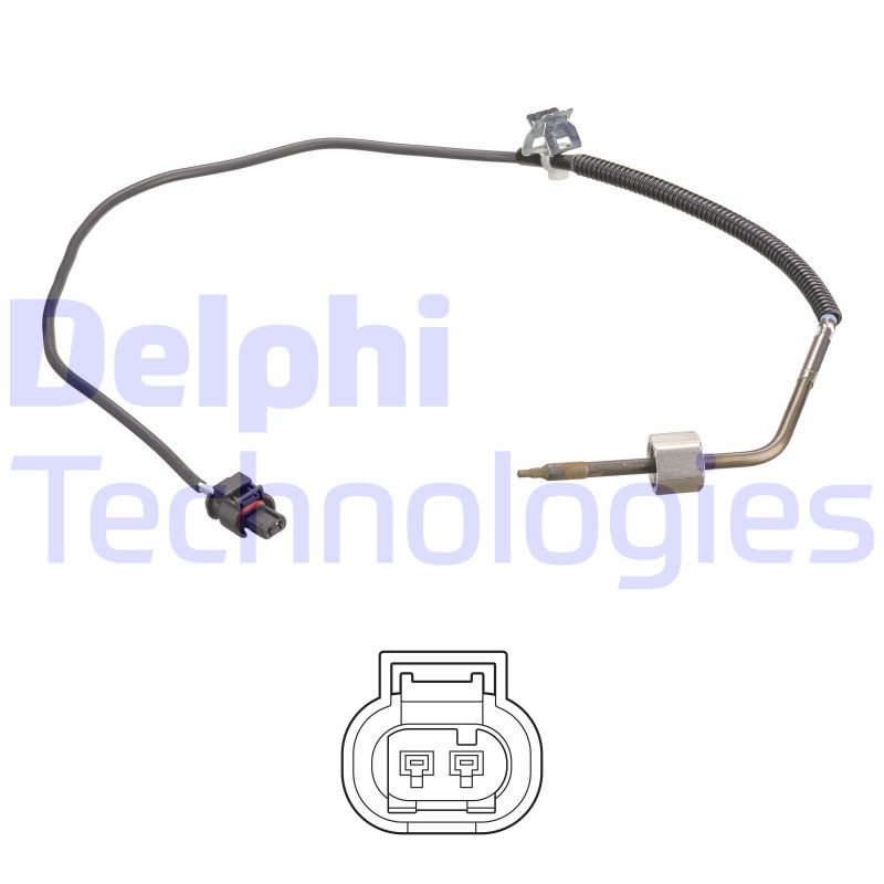 Sensor, exhaust gas temperature (WG2170448)