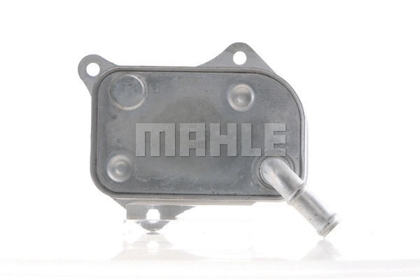 Oil Cooler, engine oil (WG2181218)