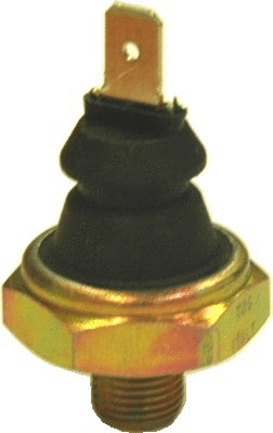 Oil Pressure Switch (WG1014440)