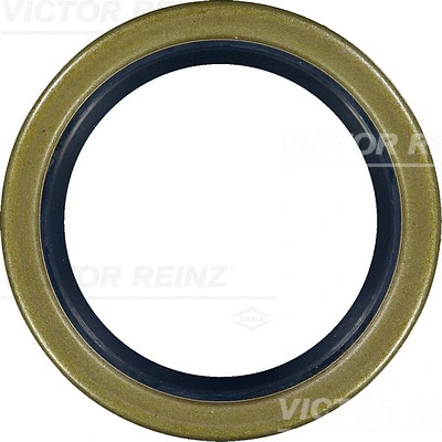 Shaft Seal, camshaft (WG1249921)