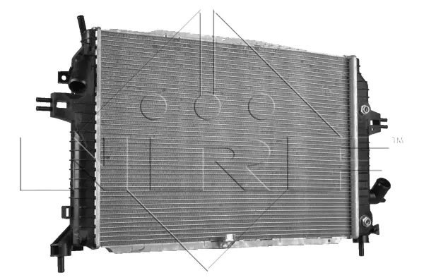 Radiator, engine cooling (WG1722024)