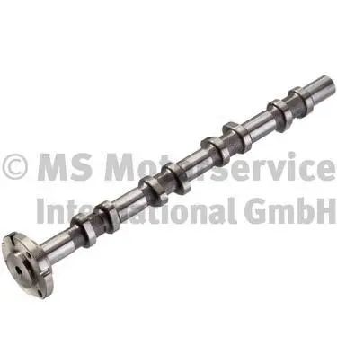 Camshaft (WG1380598)