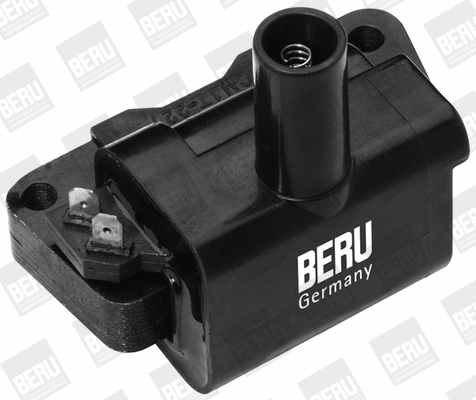 Ignition Coil (WG1487393)