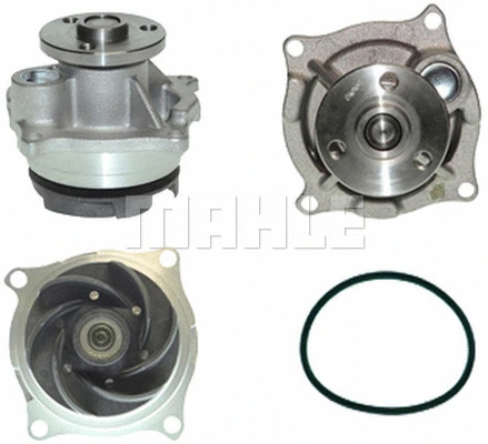 Water Pump, engine cooling (WG2181996)