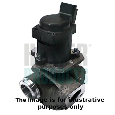 EGR Valve (WG1966139)