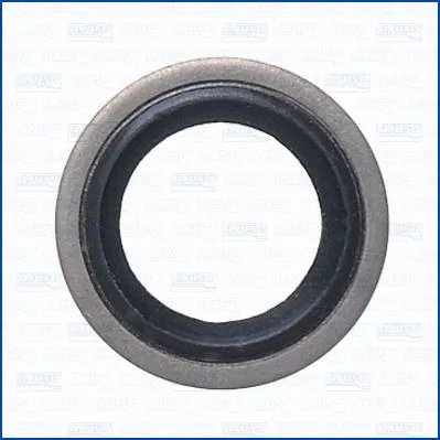 Seal Ring, oil drain plug (WG2081933)