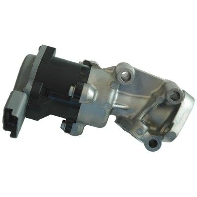 EGR Valve (WG1408676)