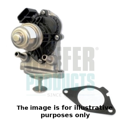 EGR Valve (WG2189231)