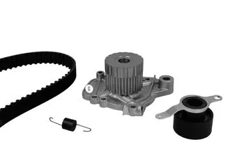 Water Pump & Timing Belt Kit (WG2261581)