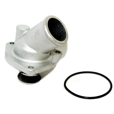 Thermostat, coolant (WG1409172)