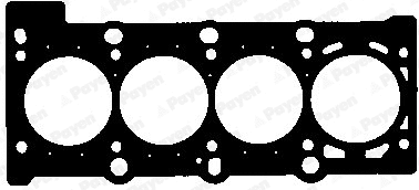 Gasket, cylinder head (WG1460540)
