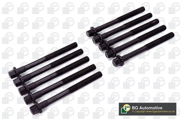 Cylinder Head Bolt Set (WG1490306)