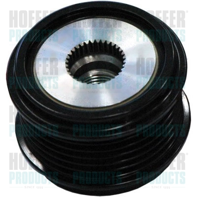 Alternator Freewheel Clutch (WG2262414)