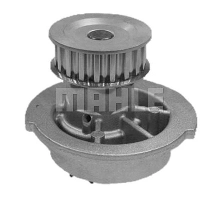 Water Pump, engine cooling (WG2181293)