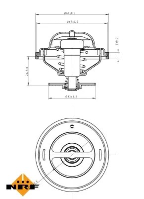 Thermostat, coolant (WG2184816)