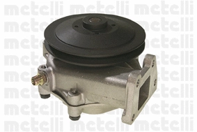 Water Pump, engine cooling (WG1790054)