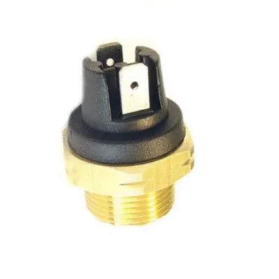 Temperature Switch, radiator fan (WG1748925)