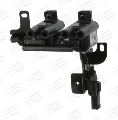 Ignition Coil (WG2009282)