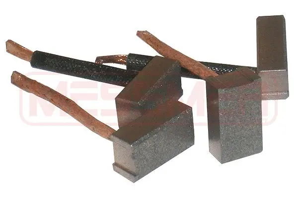 Carbon Brush, starter (WG2013619)