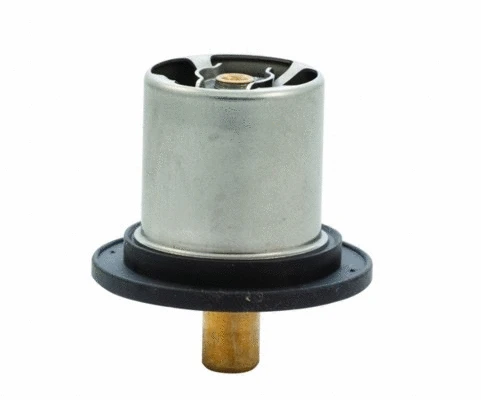 Thermostat, coolant (WG1409309)