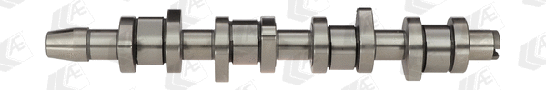 Camshaft (WG1093064)