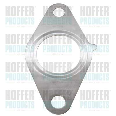 Gasket, EGR valve (WG2262110)