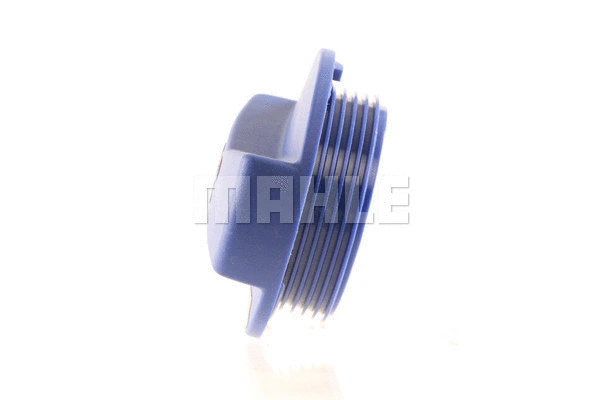 Cap, coolant tank