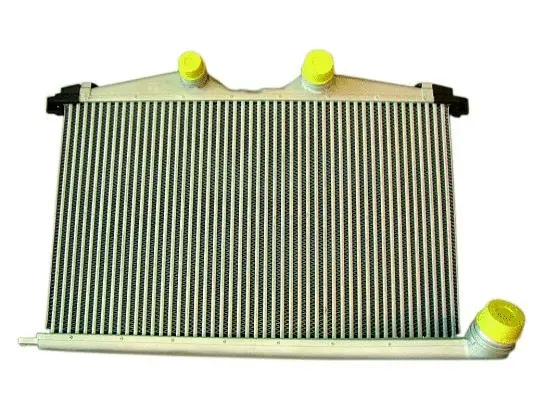 Charge Air Cooler (WG1723875)