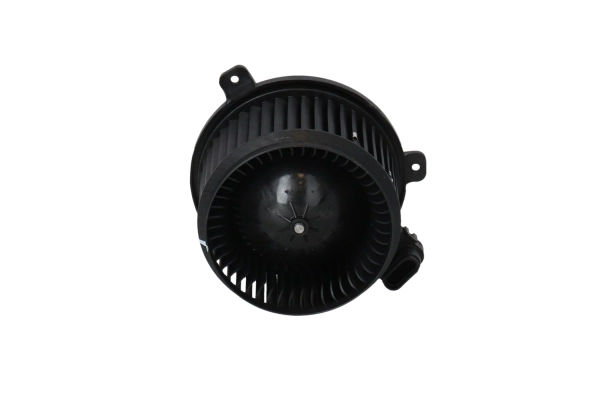 Interior Blower (WG2204349)