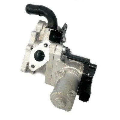 EGR Valve (WG1408749)