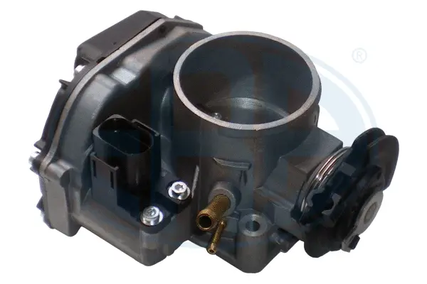 Throttle Body (WG1495059)