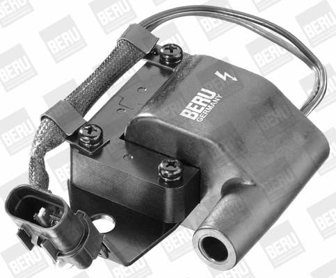 Ignition Coil (WG1487350)