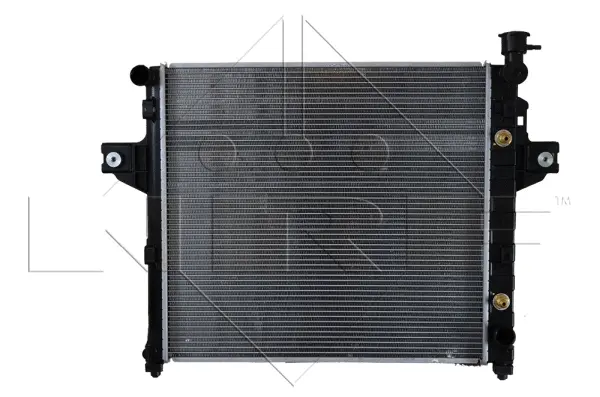 Radiator, engine cooling (WG1723146)