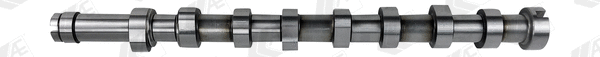 Camshaft (WG1462600)