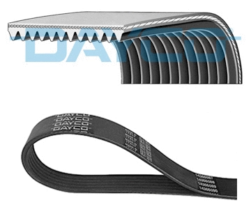 V-Ribbed Belt (WG2270725)