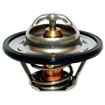 Thermostat, coolant (WG1409177)
