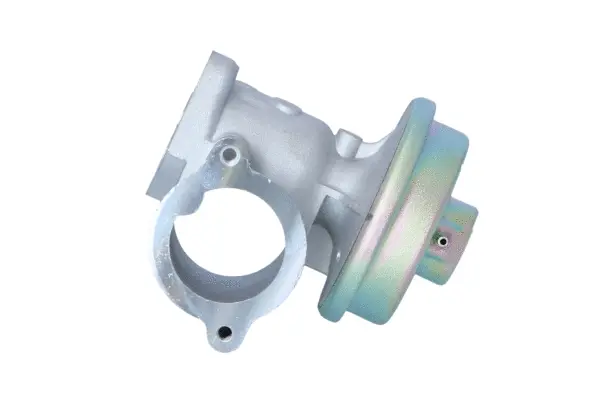 EGR Valve (WG2161823)