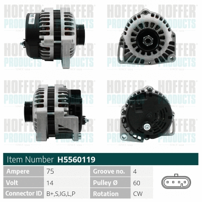 Alternator (WG2197044)