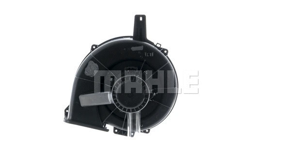 Interior Blower (WG2179842)