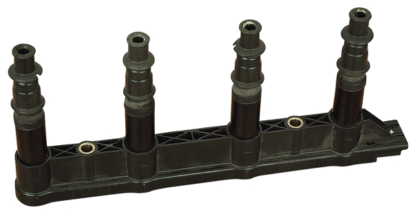 Ignition Coil (WG1012291)