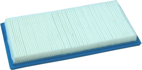 Air Filter (WG1747497)